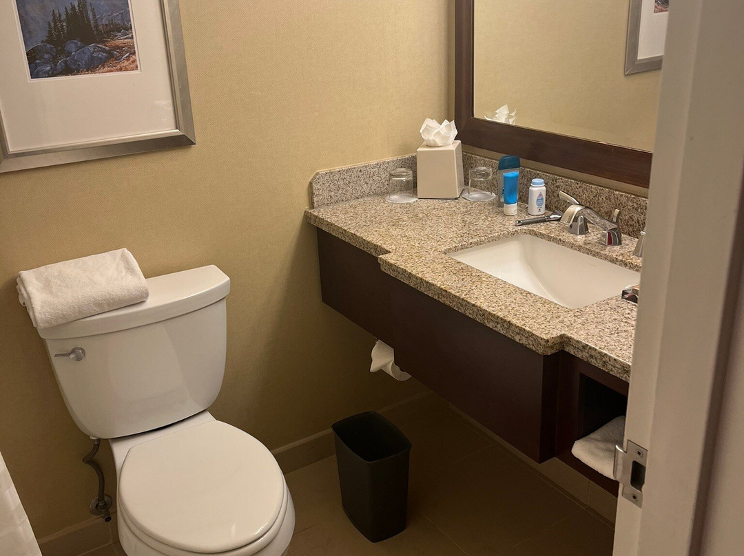 Denver Marriott West主图