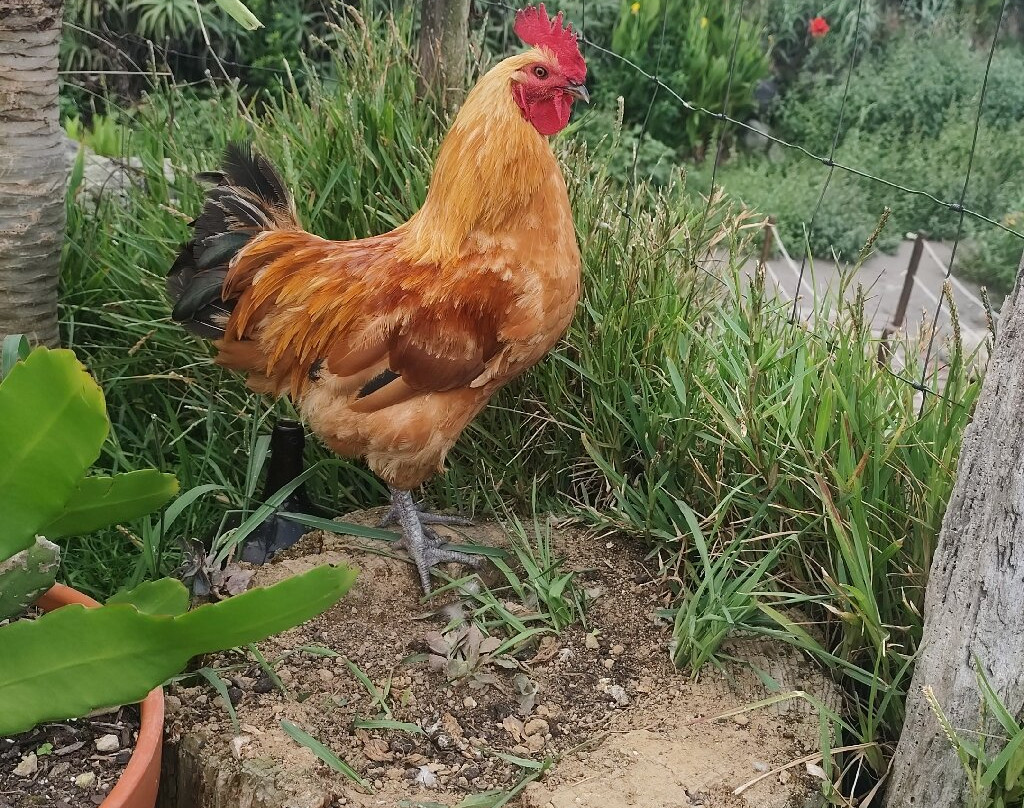 Praia Moinhos-Porto Formoso必去景点