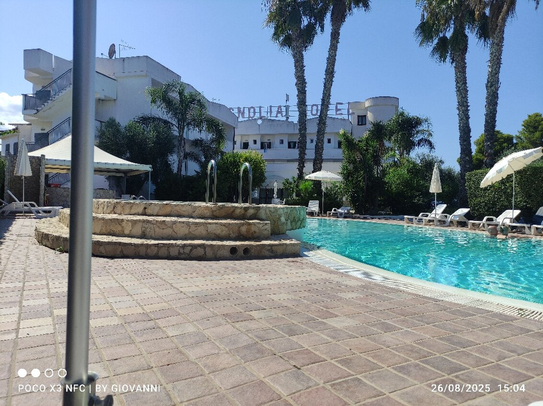 马戈诺莉亚酒店主图