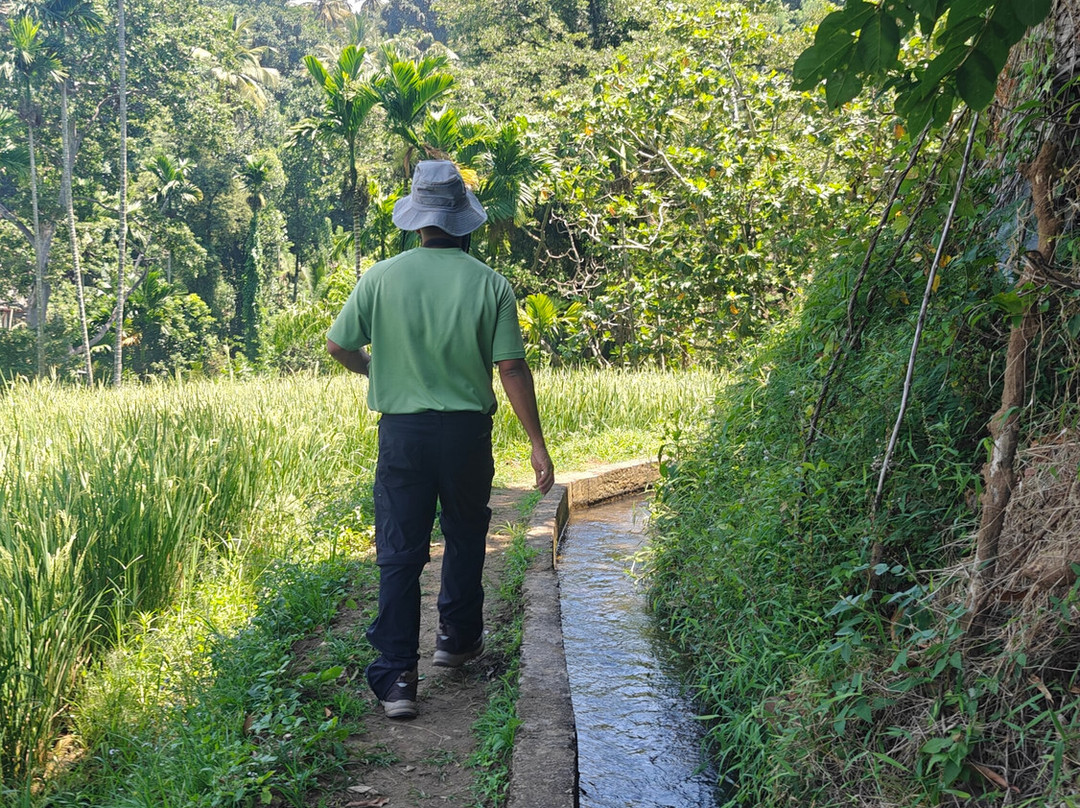 Sri Lanka Trekking-康提必去景点