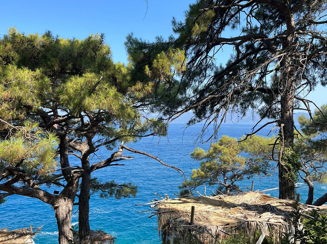 Rups Beach Club Fethiye-蝴蝶谷必去景点