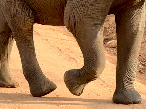 Utukufu Travels and Adventures-阿鲁沙必去景点