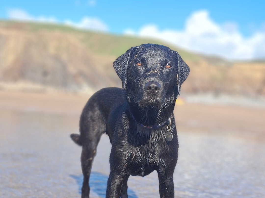 Sandy Mouth Beach-Stibb必去景点