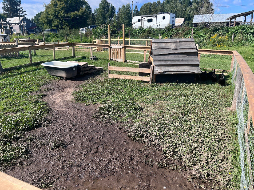 Harmony Acres Ranch & Petting Farm-Cornville必去景点