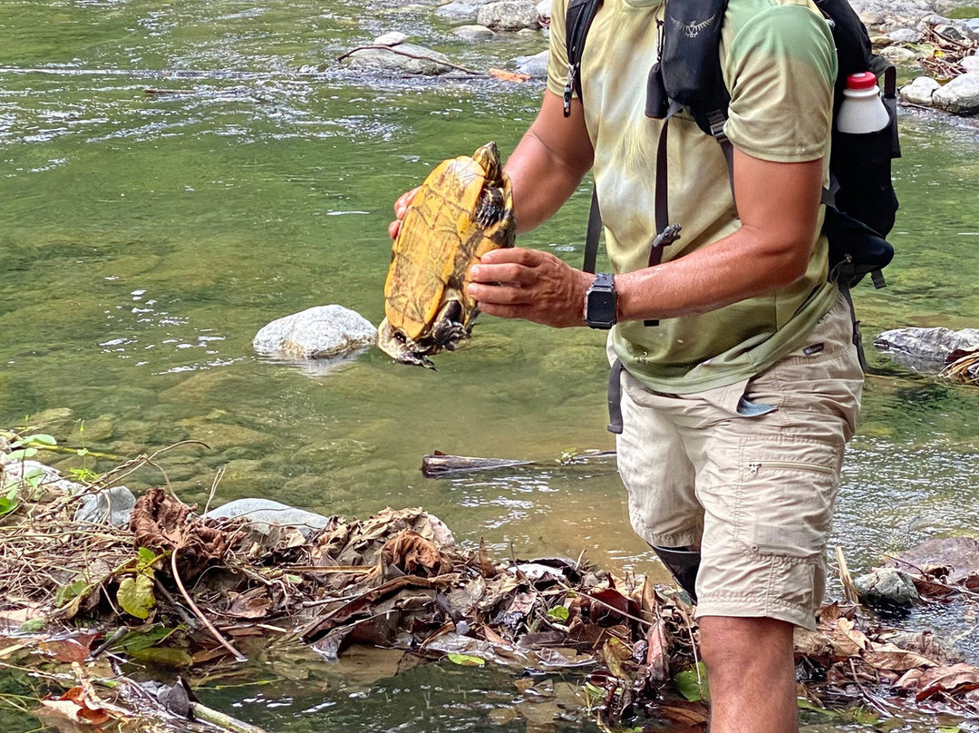 Osa Nature Tours-Dos Brazos必去景点