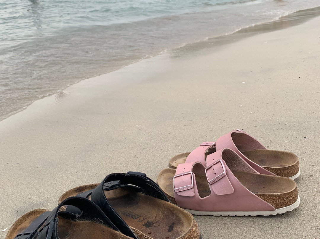 Playa Palmira-帕格拉必去景点