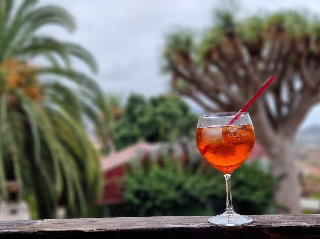 Casa Lercaro-La Orotava必去景点