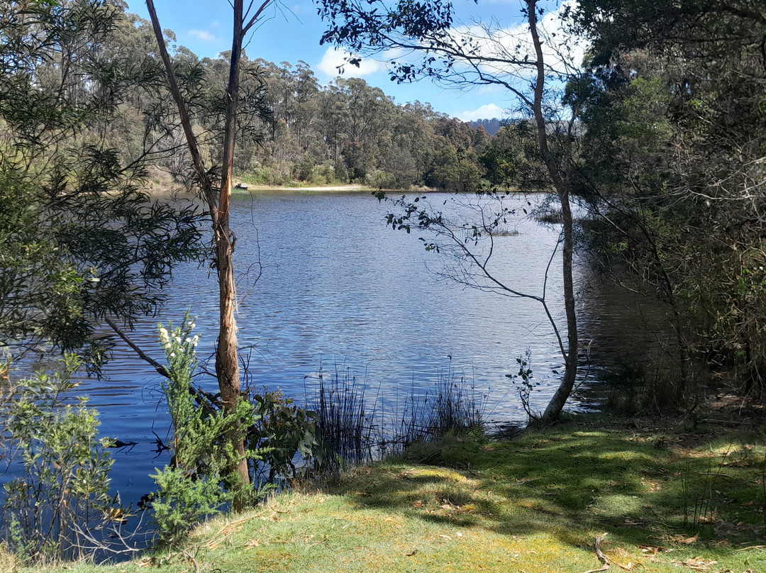 North East Tasmania Rail Trail-Scottsdale必去景点