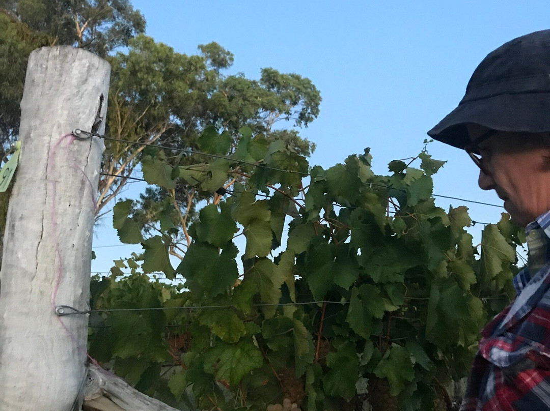 Squishedberry-波兰甸必去景点