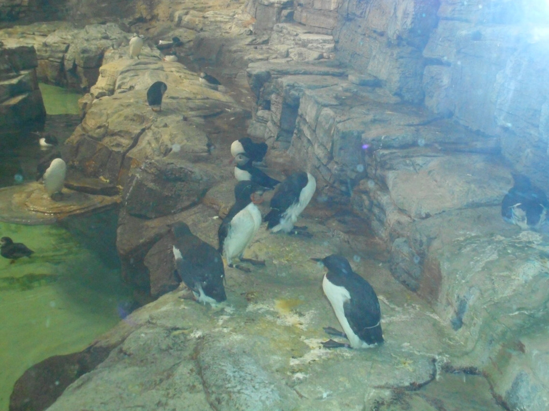 蒙特利尔自然生态博物馆-蒙特利尔必去景点