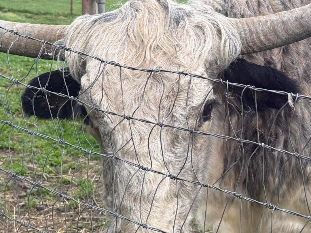 Dean Homestead and Art Studios Tour and The Dean Gallery-荷马必去景点