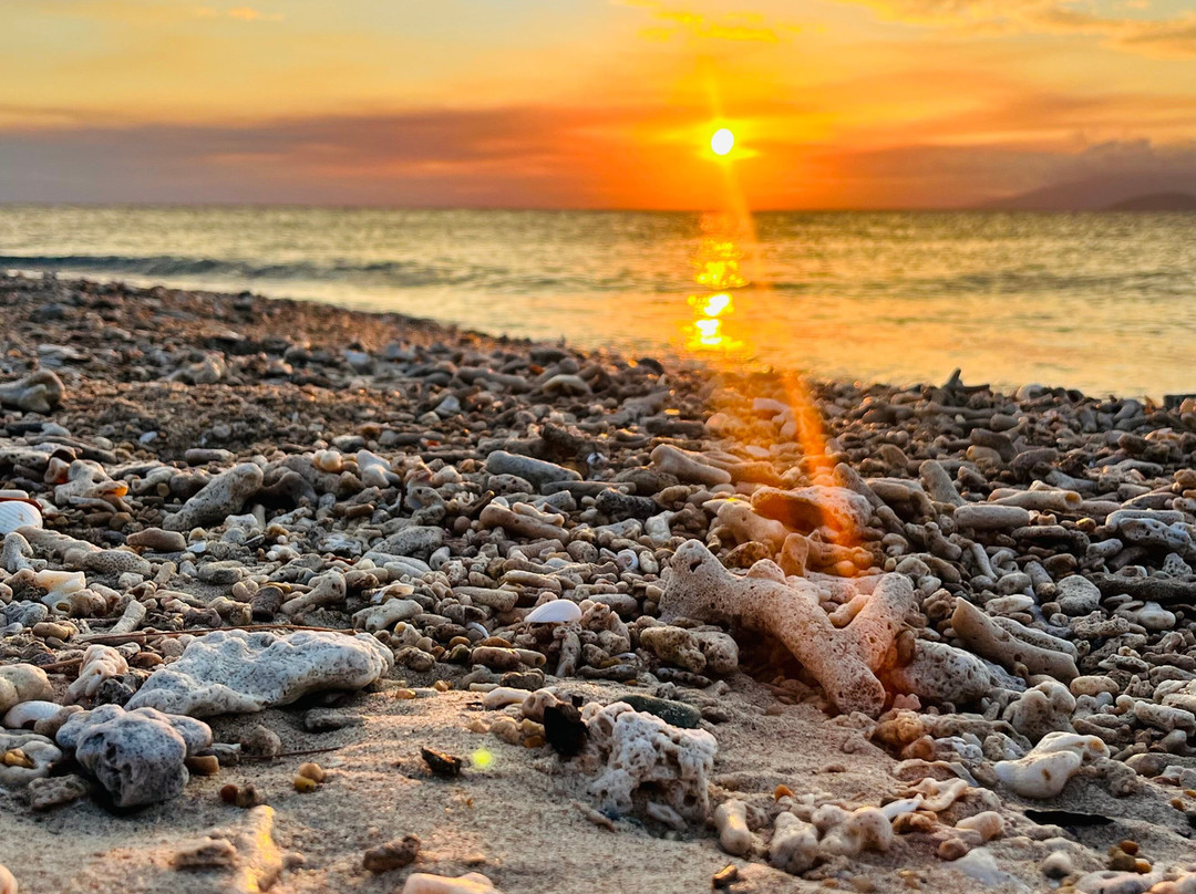 Coral Sea Kayaking-Mission Beach必去景点