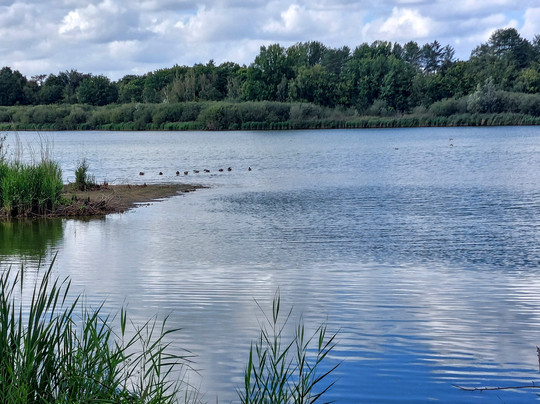 Platwijers-Zonhoven必去景点