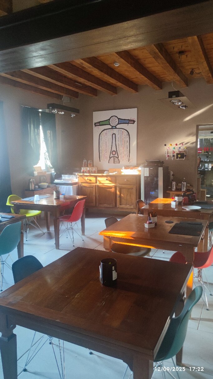 Damaranto-官方