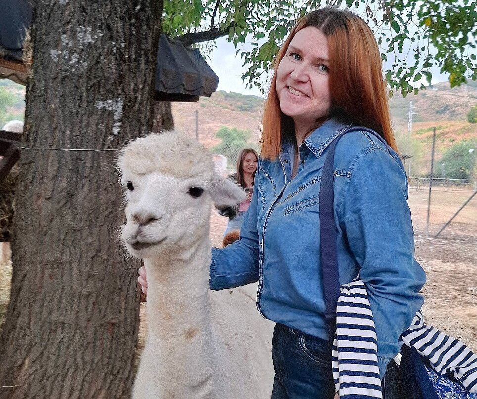 Alpaca Azerbaijan-Meysary必去景点