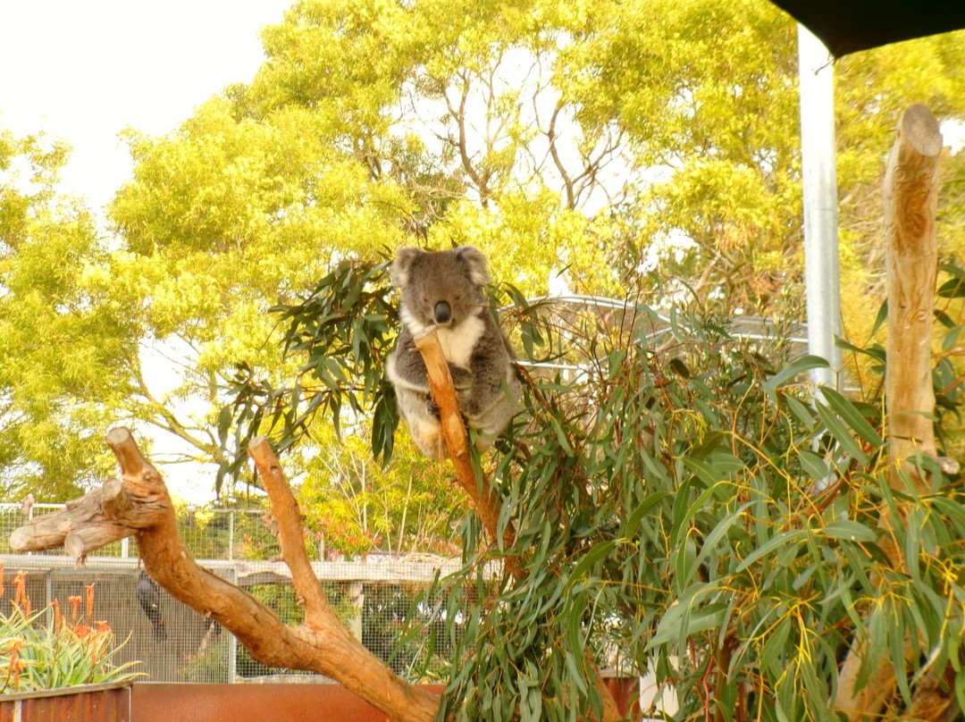The Funky Farm-Hastings必去景点
