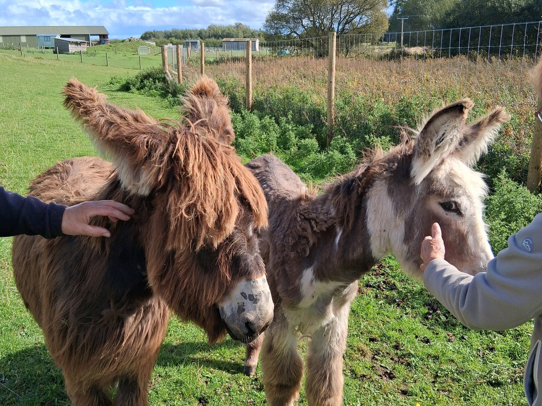 Aylswood Rare Breeds
