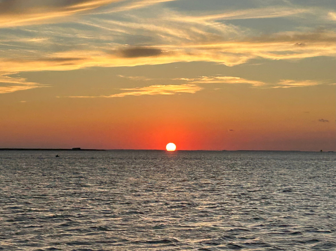 Paradise Dolphin Cruises-Wanchese必去景点