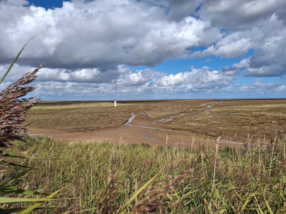Donna Nook Nature Reserve-North Somercotes必去景点