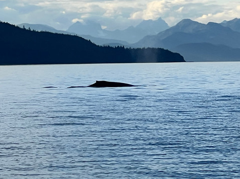 Alaska Galore Tours-朱诺必去景点