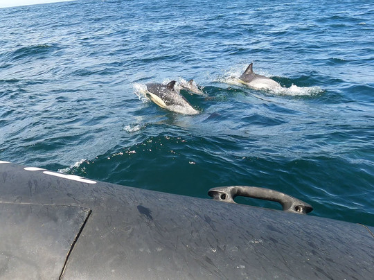 Mar Ilimitado-萨格里什必去景点