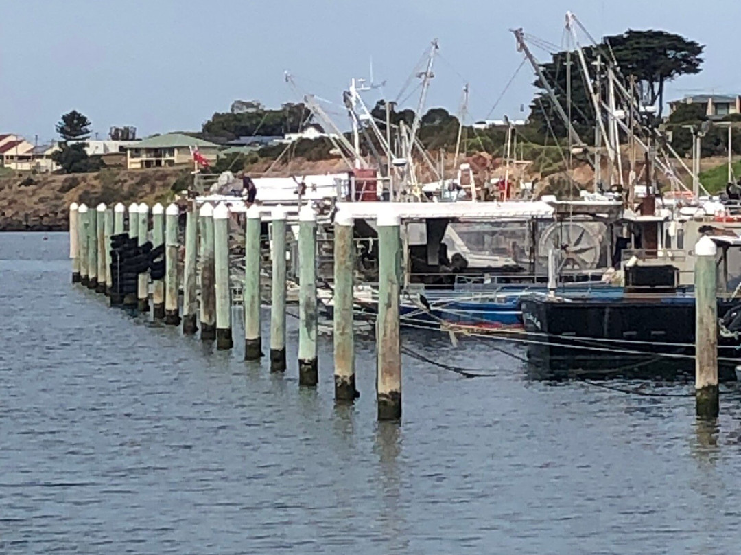 Port Phillip Ferries-墨尔本必去景点