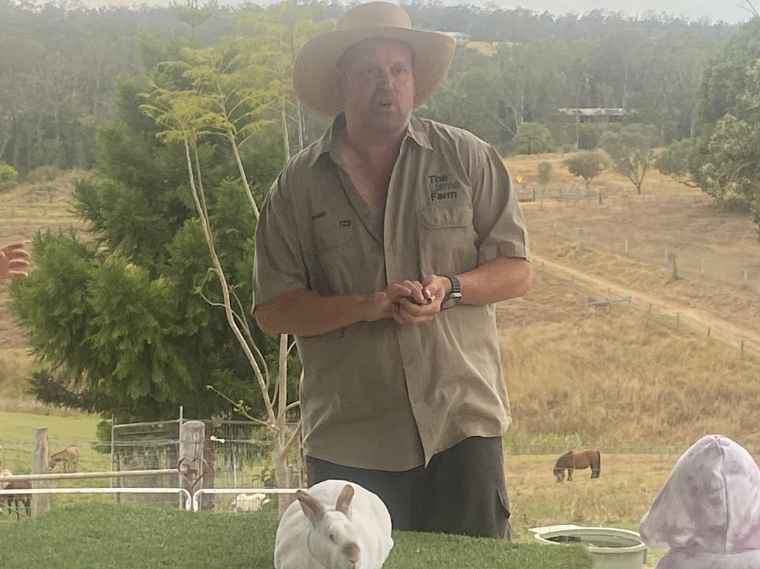 The Llama Farm-伊普斯威奇必去景点