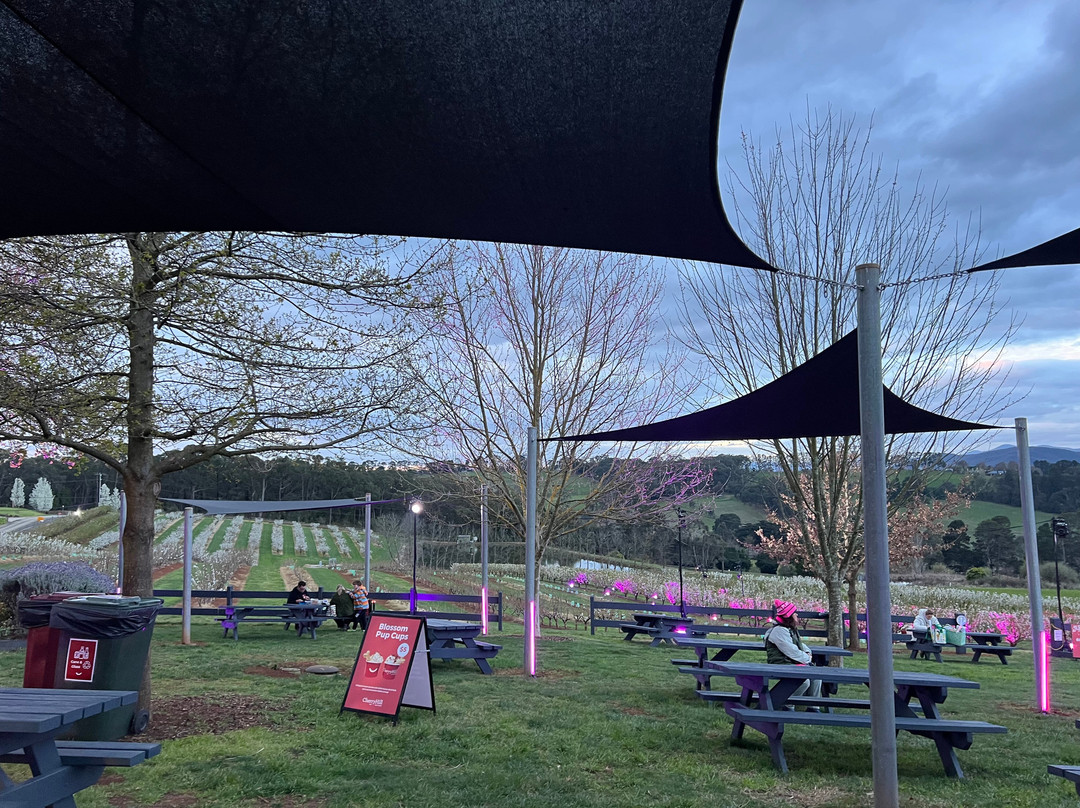 Cherryhill Orchards-Wandin East必去景点