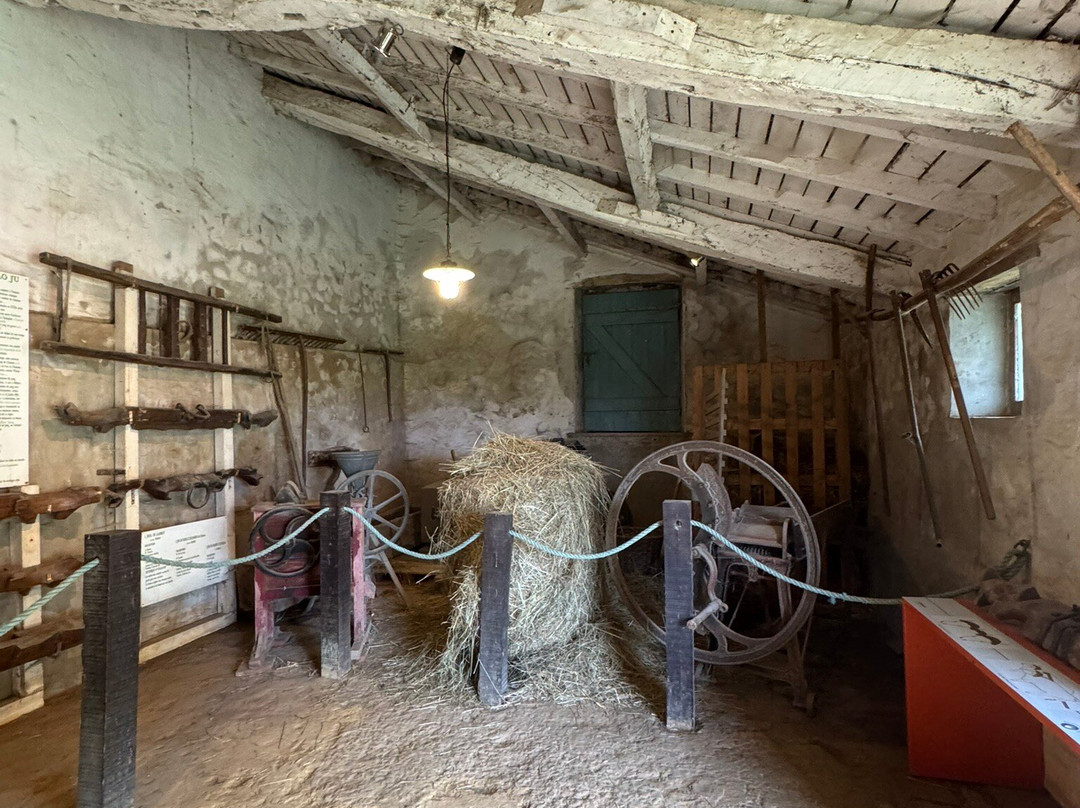 MUSEE DE LA CHALOSSE-Montfort-en-Chalosse必去景点