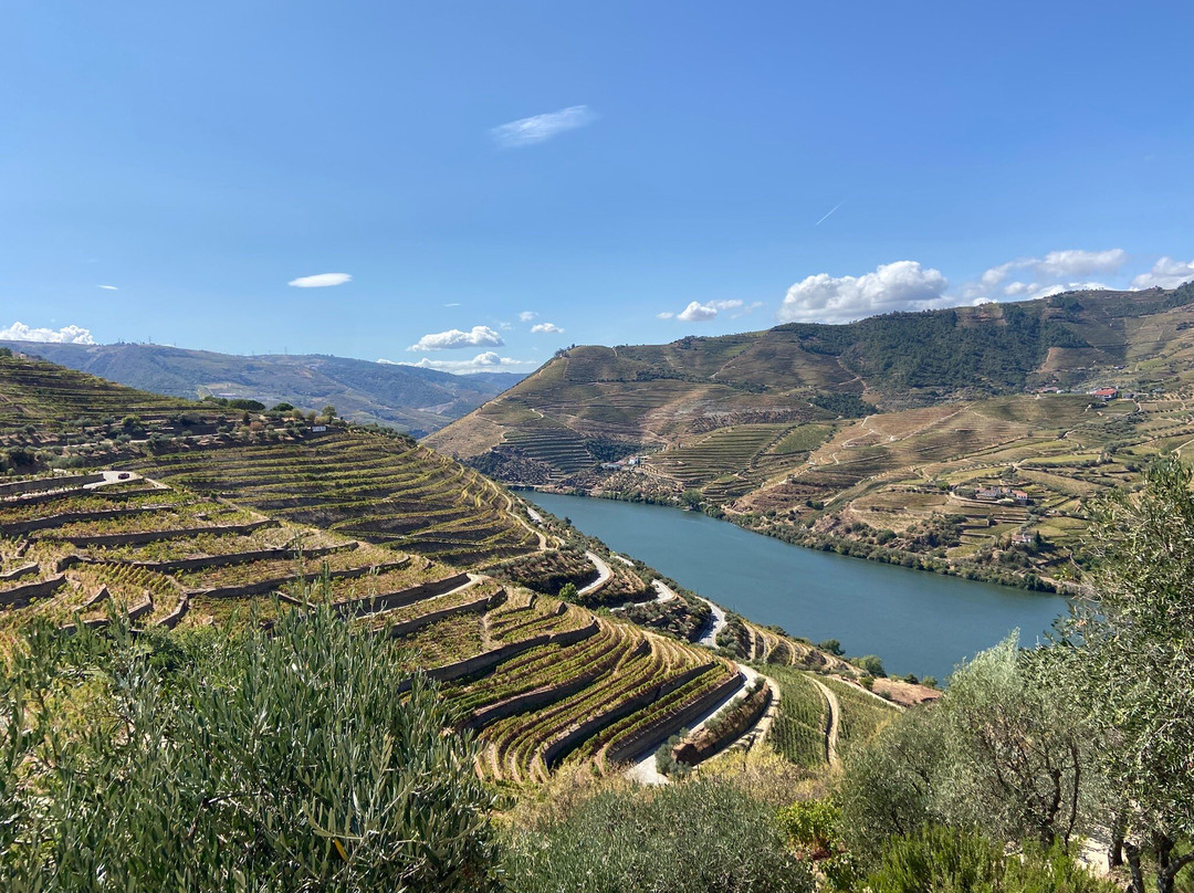 Avenida Tours Portugal - Tourguides Portugal-里斯本必去景点