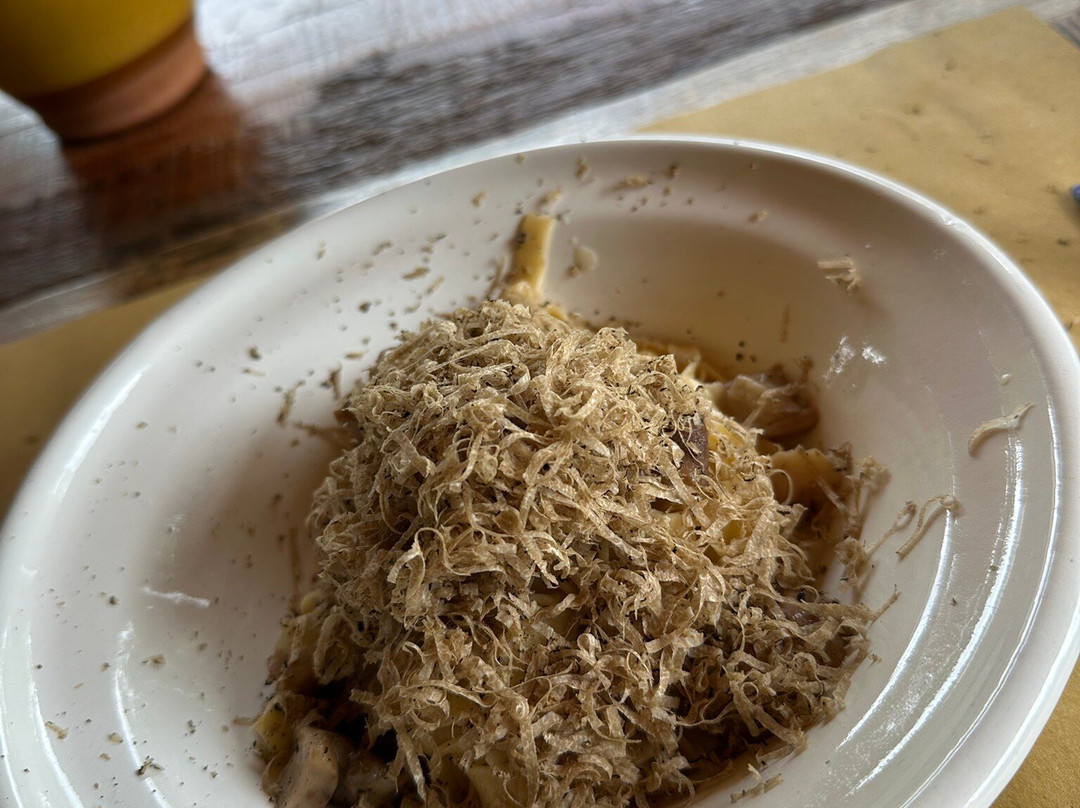 Truffles Hunting in Le Marche-Force必去景点