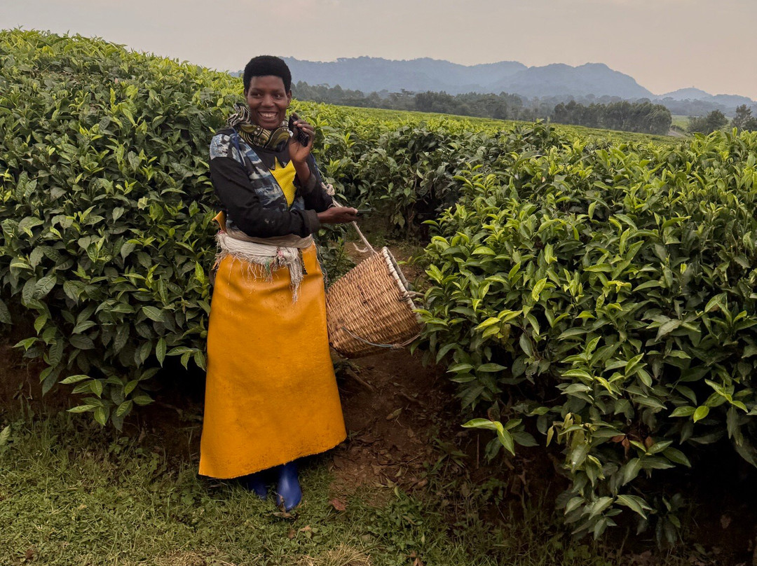 Primate Safaris-吉佳利必去景点