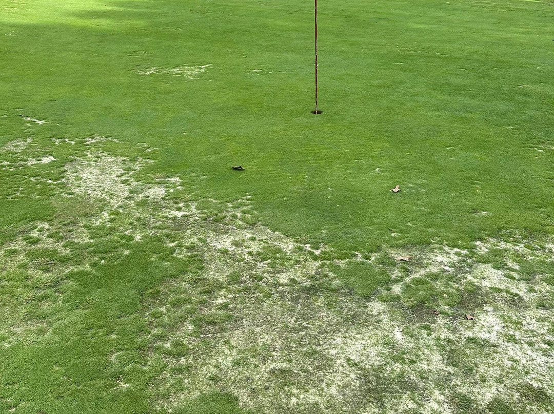 Chatuge Shores Golf Course-Hayesville必去景点