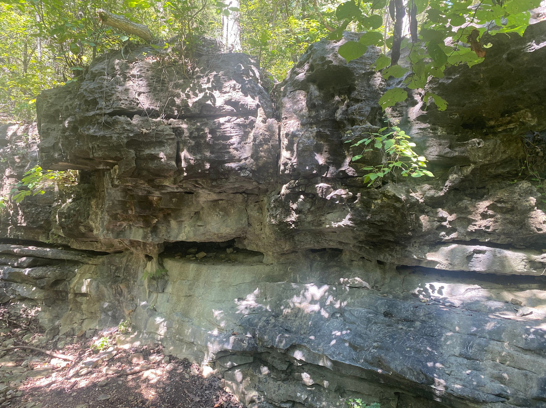 Basin Spring Park-尤里卡斯普林斯必去景点