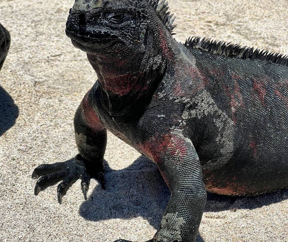 Ecuador Wonders Tour Operator-基多必去景点