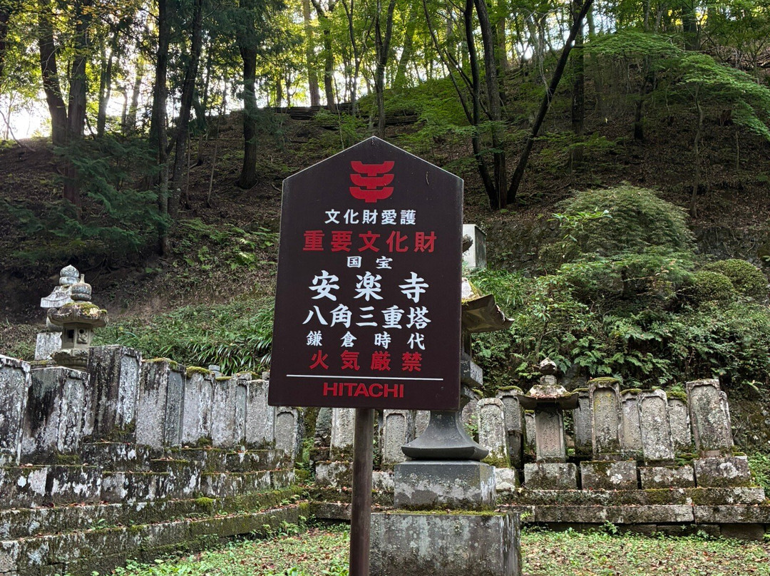 Anrakuji Temple-上田市必去景点