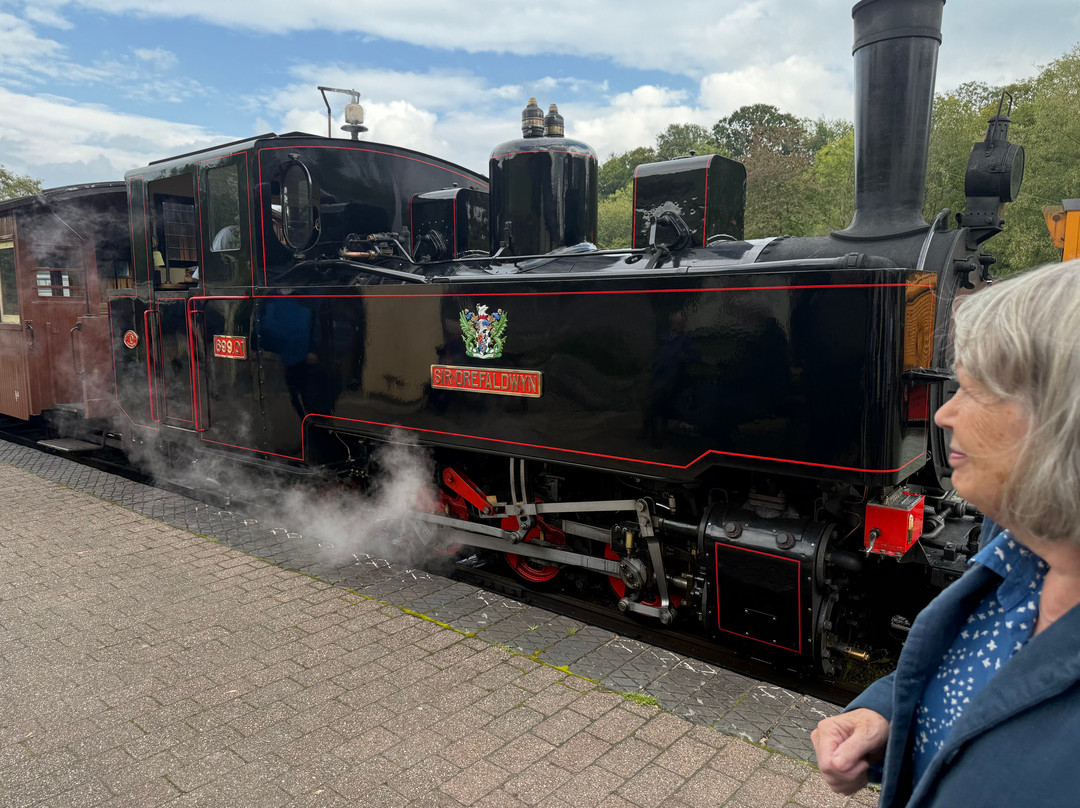 Welshpool and Llanfair Light Railway-Welshpool必去景点
