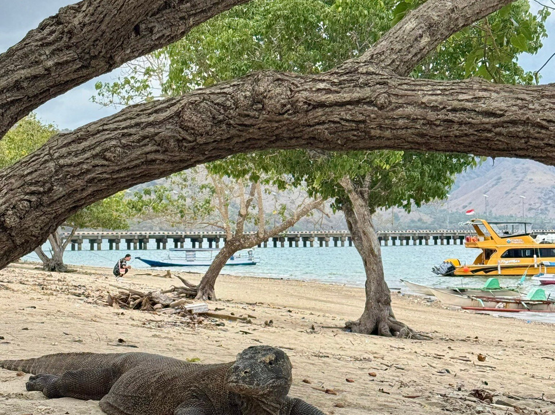 Exotic Komodo Tours-Labuan Bajo必去景点