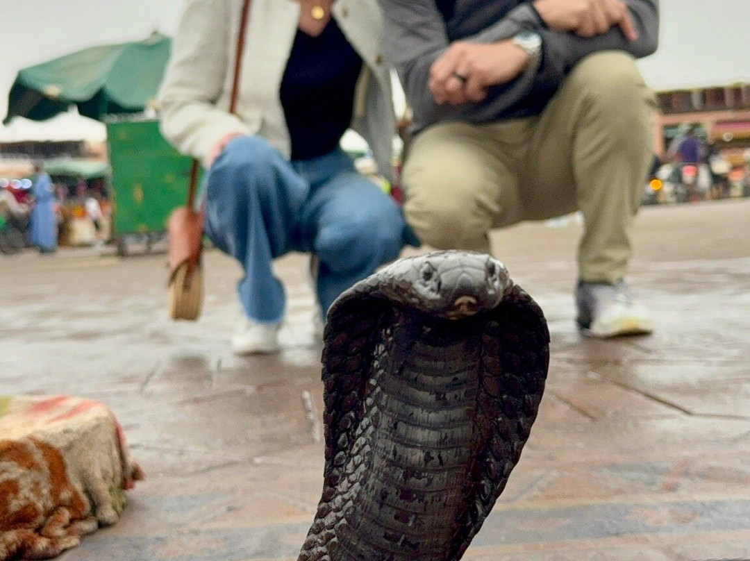 Morocco Unique Travel-Azilal必去景点