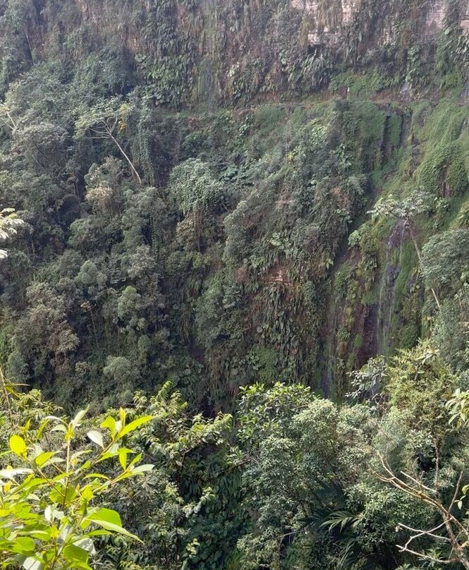No Fear Adventure-拉巴斯必去景点