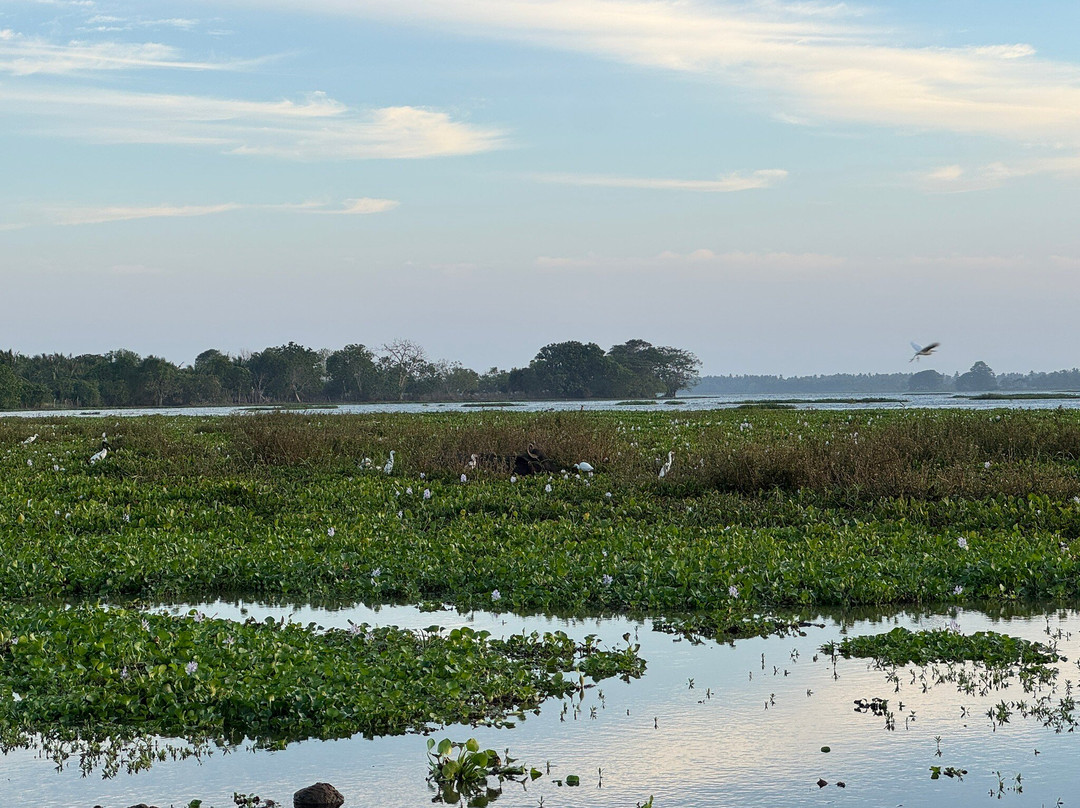 Hotel Peace & Lodge主图
