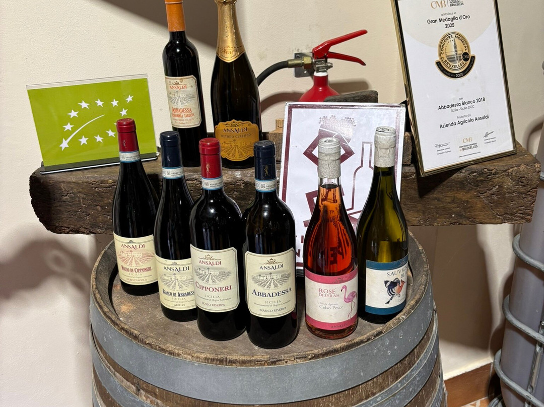 巴格里欧多纳弗兰卡酒店主图