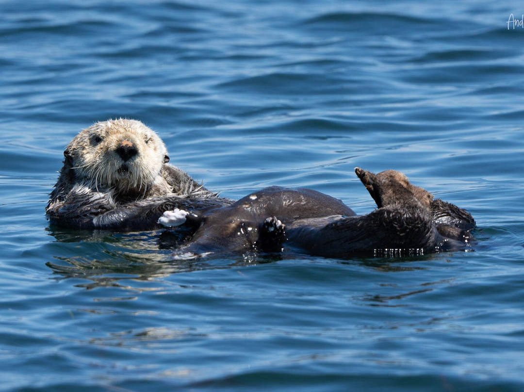 Adventure Quest Tours Canada Inc-坎贝尔里弗必去景点