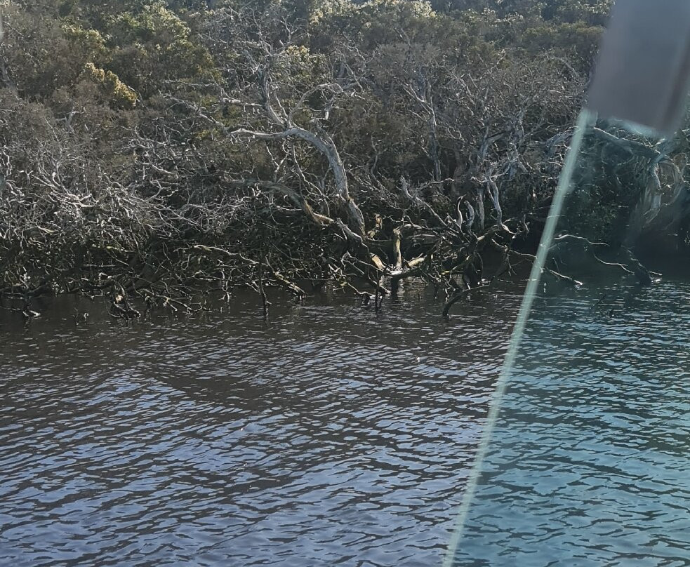 Augusta River tours-奥古斯塔必去景点