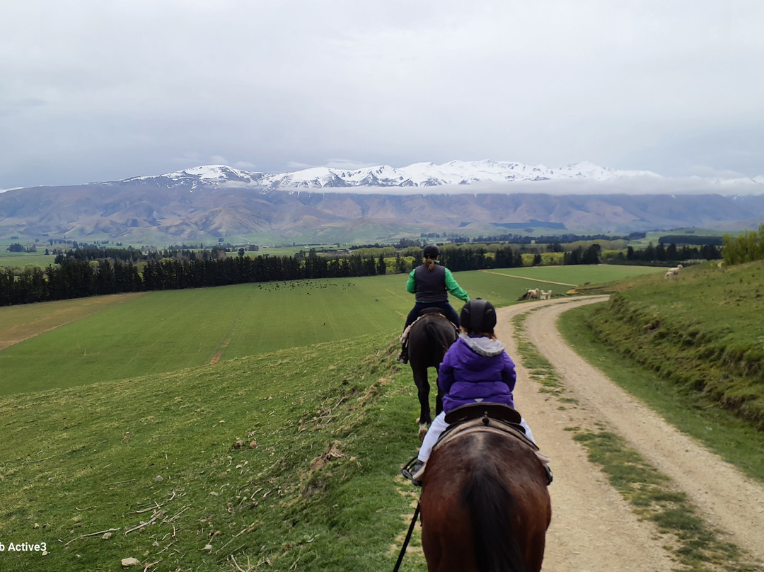 Real Kiwi Horse Trekking-菲尔利必去景点