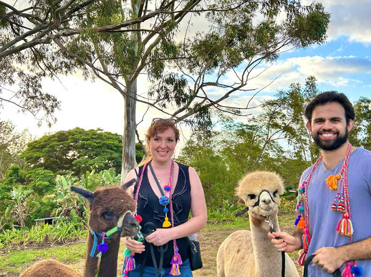 Maui Alpaca-马卡瓦必去景点