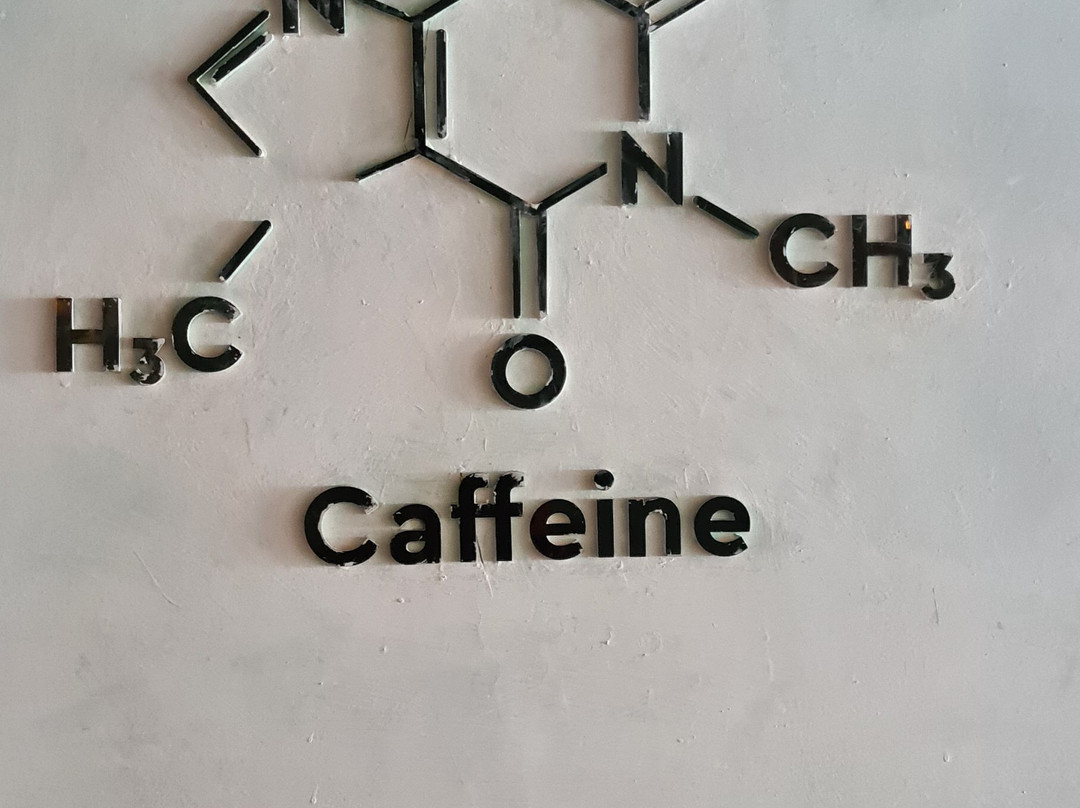 Addis Tour Guide-亚的斯亚贝巴必去景点