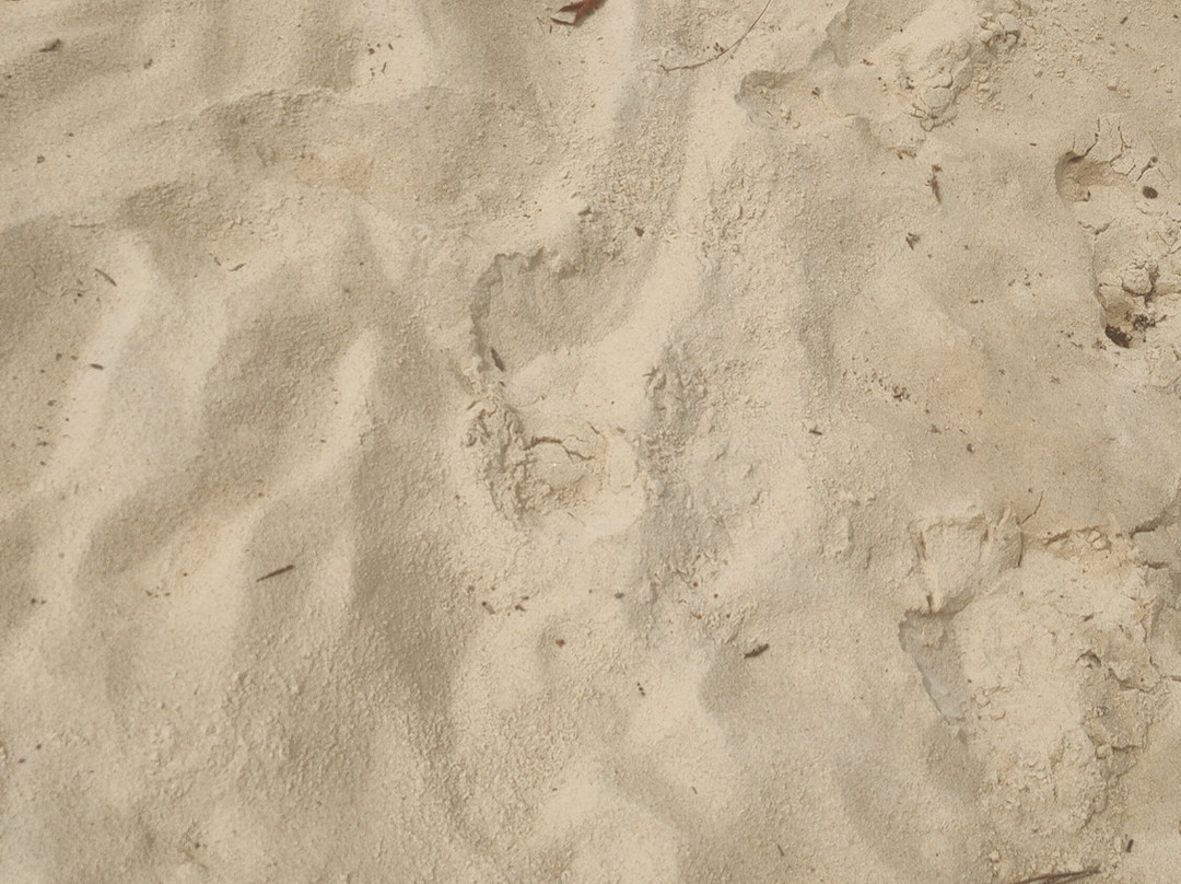 Barra de Santo Antonio Beach-Barra de Santo Antonio必去景点