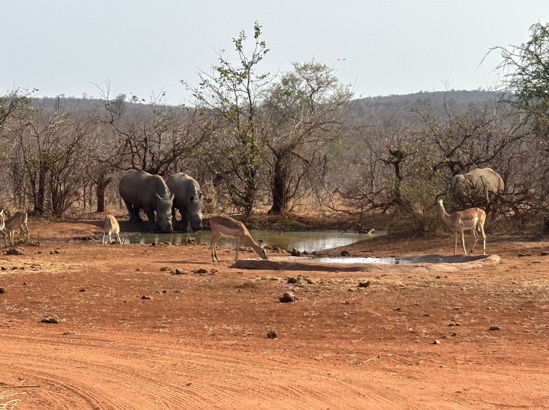 Ngalali Retreat主图