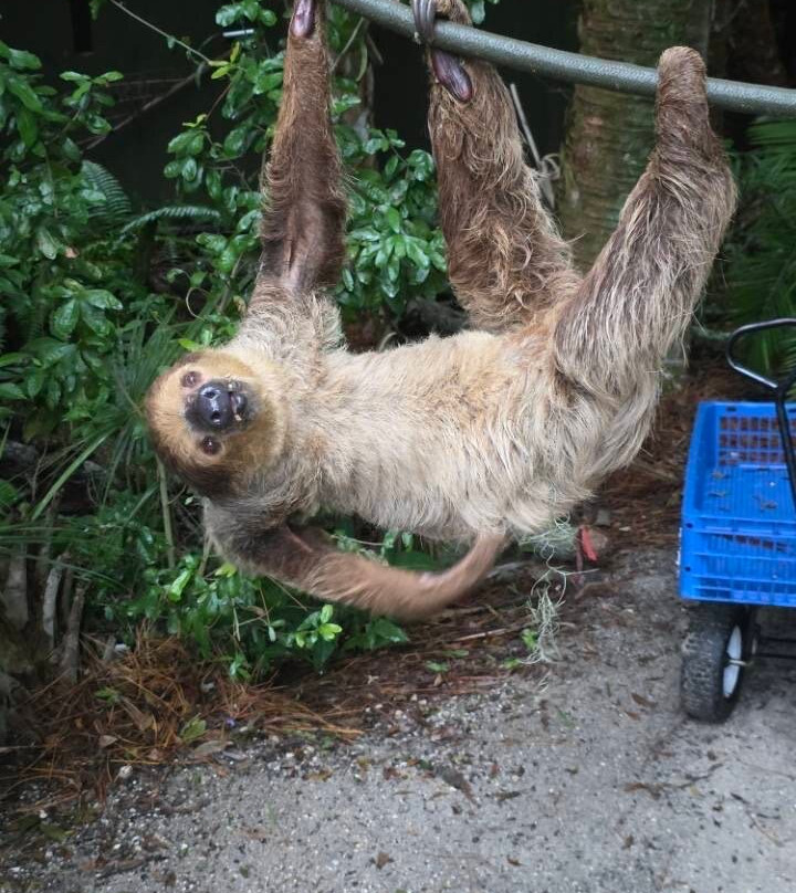 Brevard Zoo-墨尔本必去景点